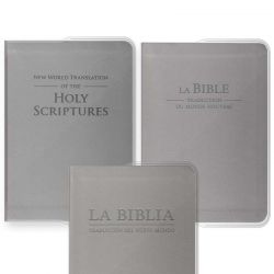 Clear PVC Cover for Regular Bible 